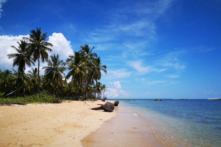 pexels-yohantha-gunawarna-1265127381-23697316