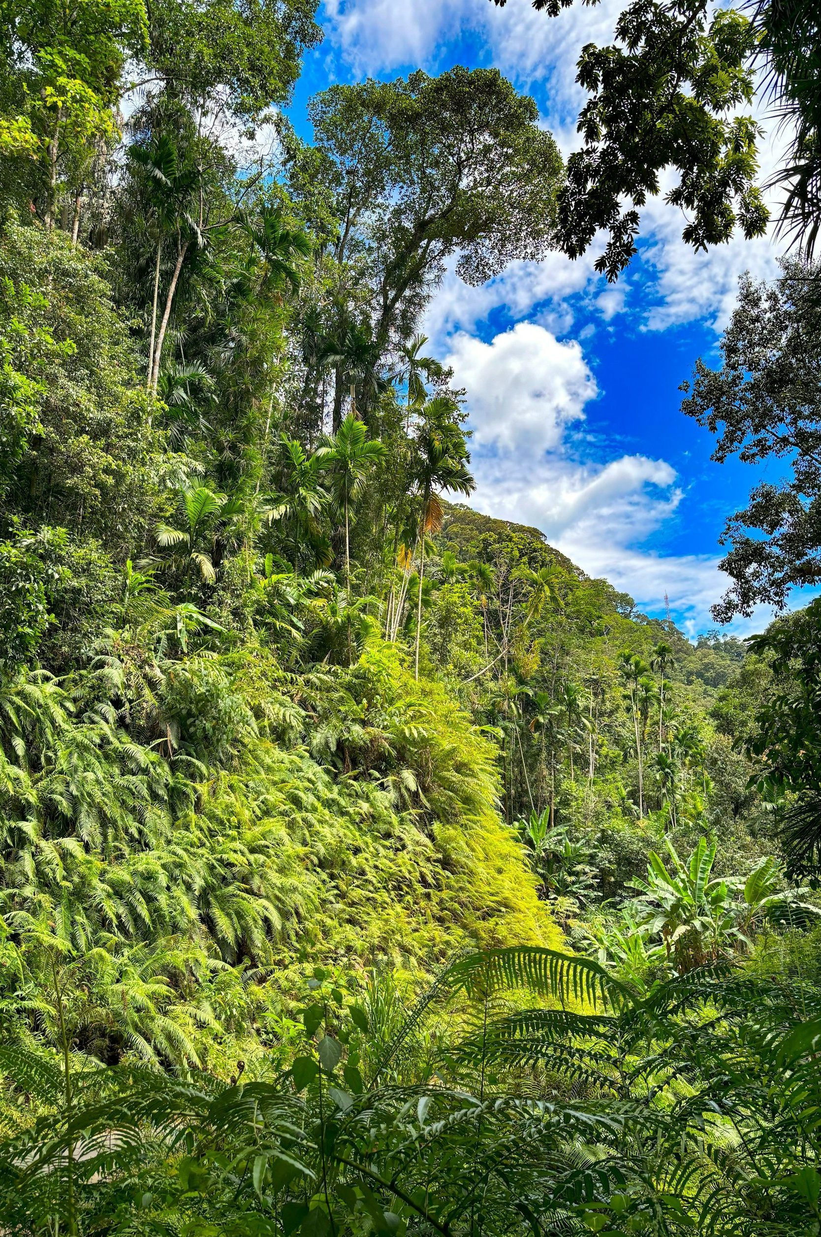 sadeep jayashankha qi7sSLz74zQ unsplash e1752006543178